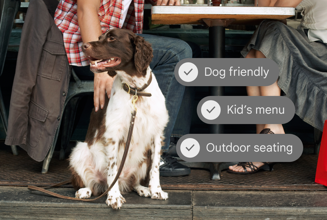A dog in a city with restaurant information.